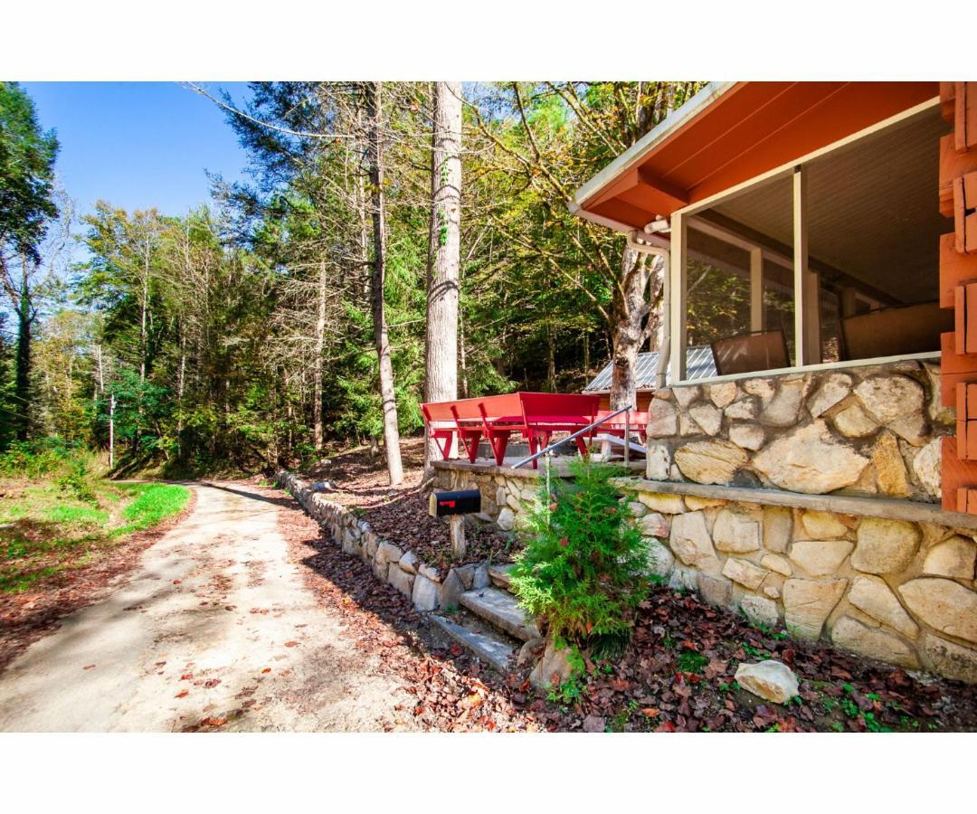 Beary Relaxing Cabin - Rustic With Outdoor Patio Townsend Exterior photo