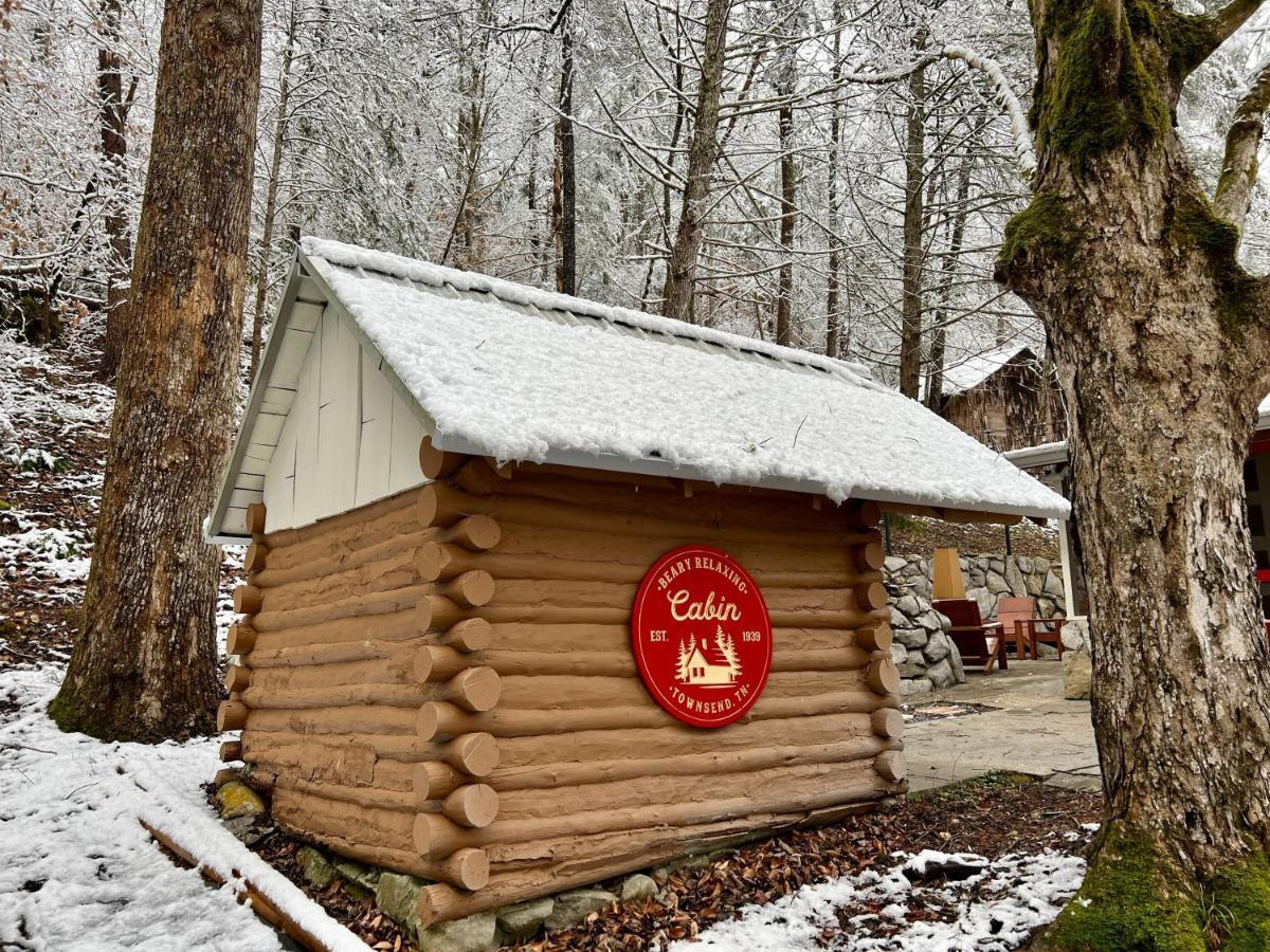 Beary Relaxing Cabin - Rustic With Outdoor Patio Townsend Exterior photo